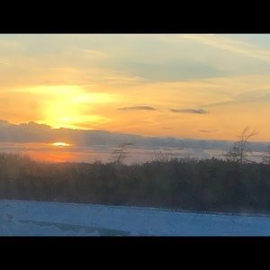 Meet your Posher, Leeann